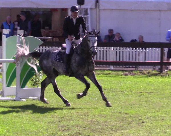 Reitturnier Meppen 2018