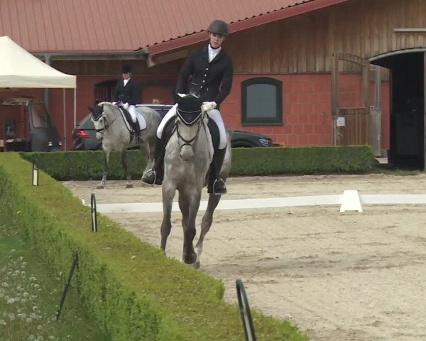 Reitturnier Baldham 2018
