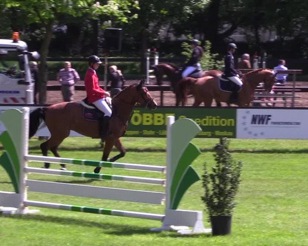 Reitturnier Meppen 2018