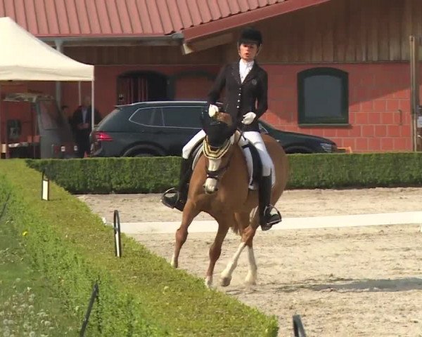 Reitturnier Baldham 2018