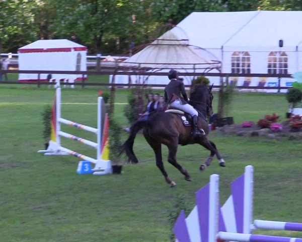 Reitturnier Meppen 2018