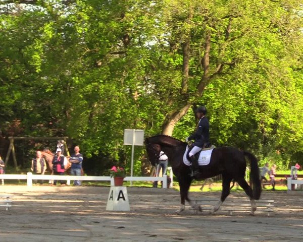 Reitturnier Meppen 2018