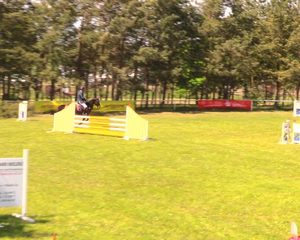 Reitturnier Altbarnim 2018