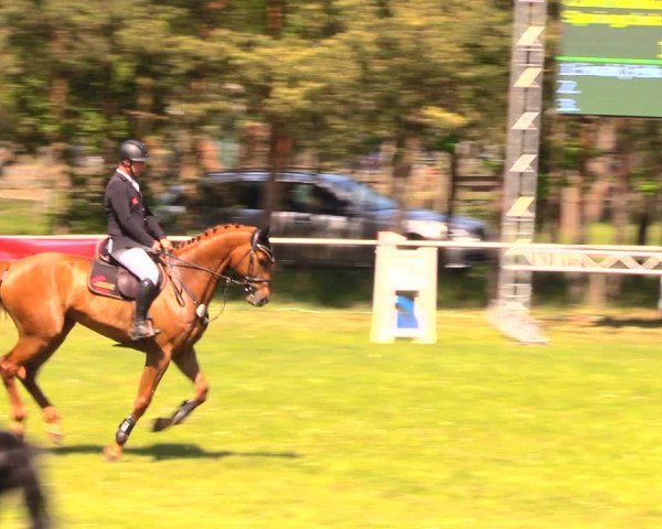 Reitturnier Altbarnim 2018