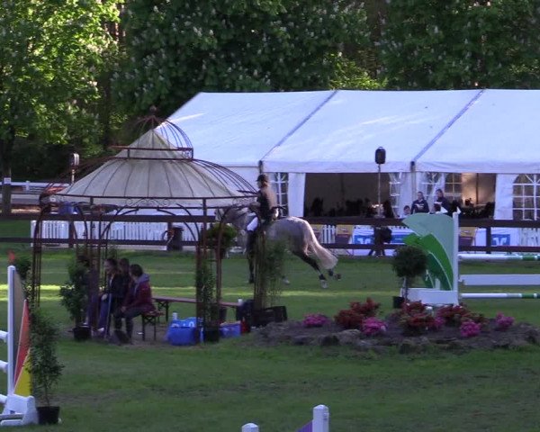 Reitturnier Meppen 2018