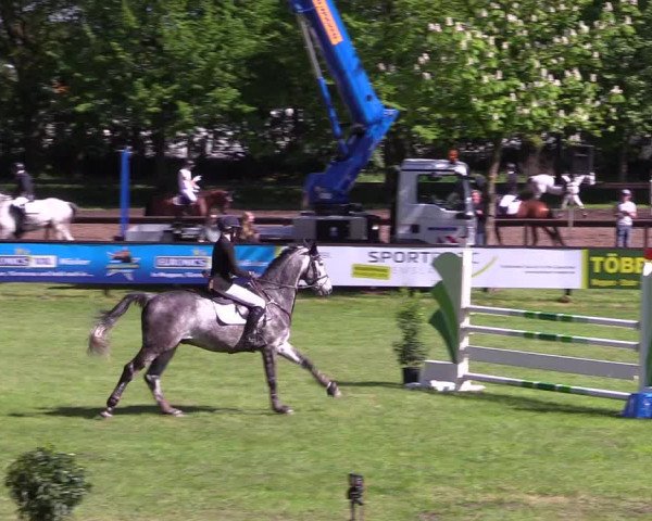 Reitturnier Meppen 2018
