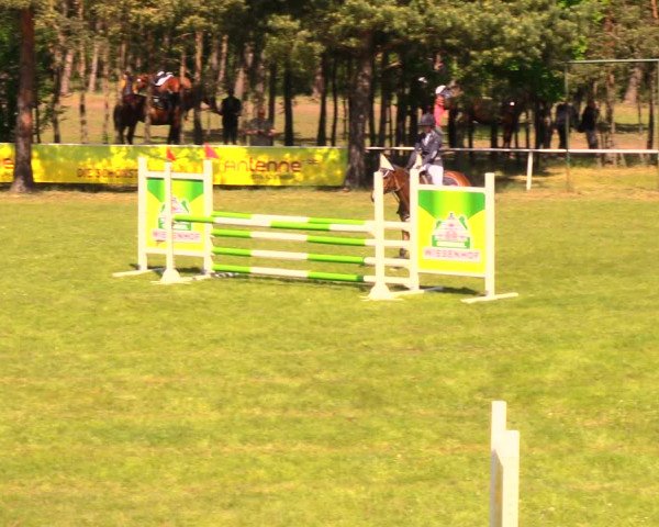 Reitturnier Altbarnim 2018