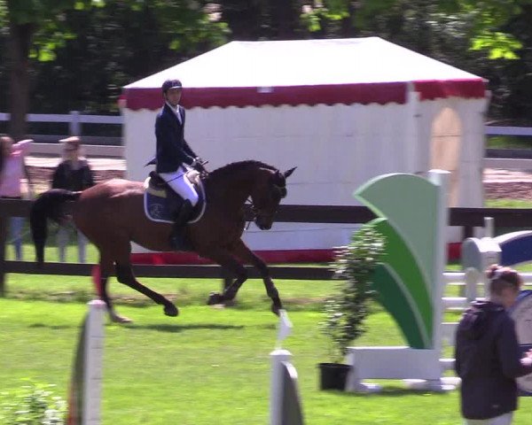 Reitturnier Meppen 2018