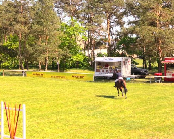 Reitturnier Altbarnim 2018