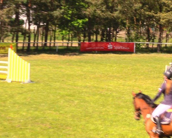 Reitturnier Altbarnim 2018