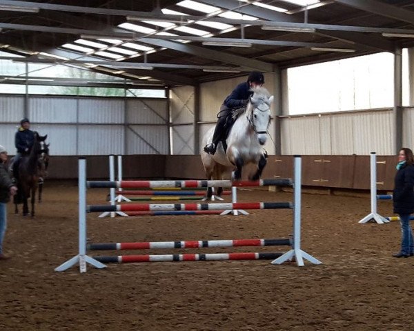 jumper Carnane Mathilda (Connemara Pony, 2012, from Coosheen Stormboy)
