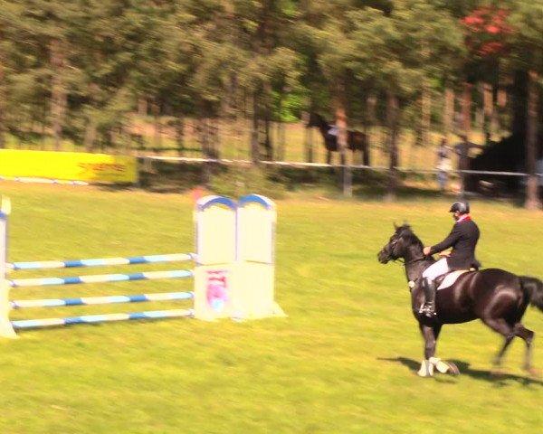 Reitturnier Altbarnim 2018