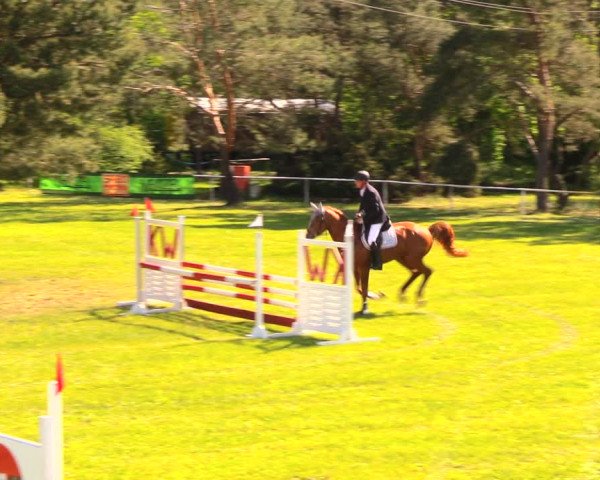 Reitturnier Altbarnim 2018