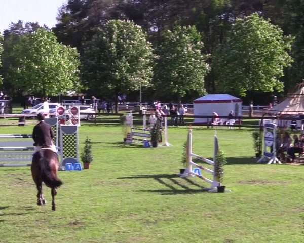 Reitturnier Meppen 2018