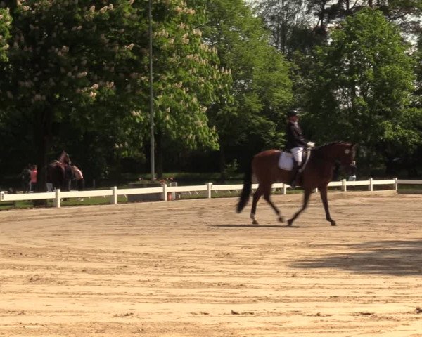 Reitturnier Meppen 2018