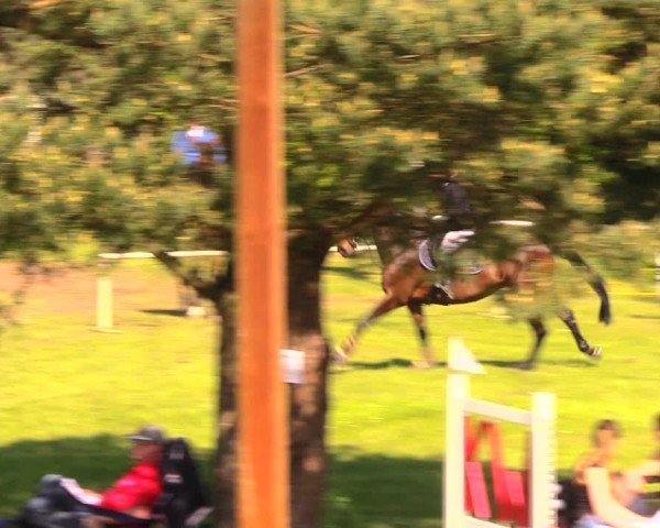 Reitturnier Altbarnim 2018