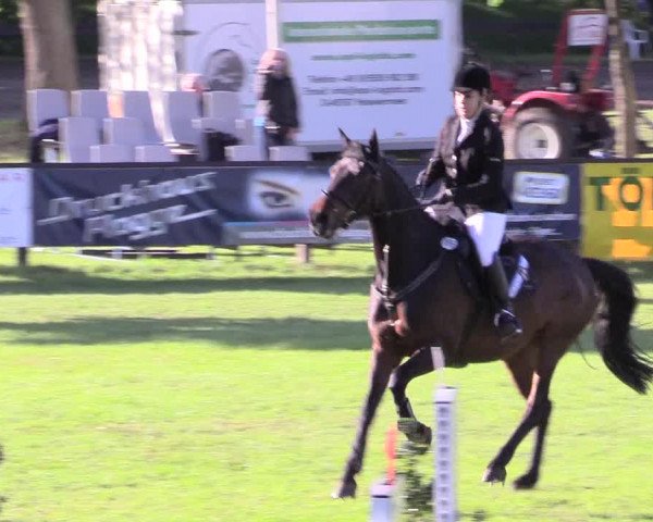 Reitturnier Meppen 2018