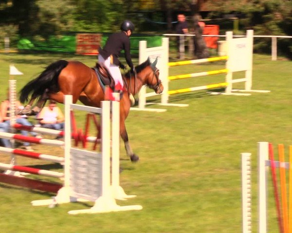 Reitturnier Altbarnim 2018