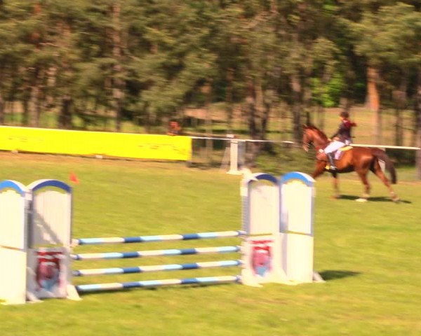 Reitturnier Altbarnim 2018