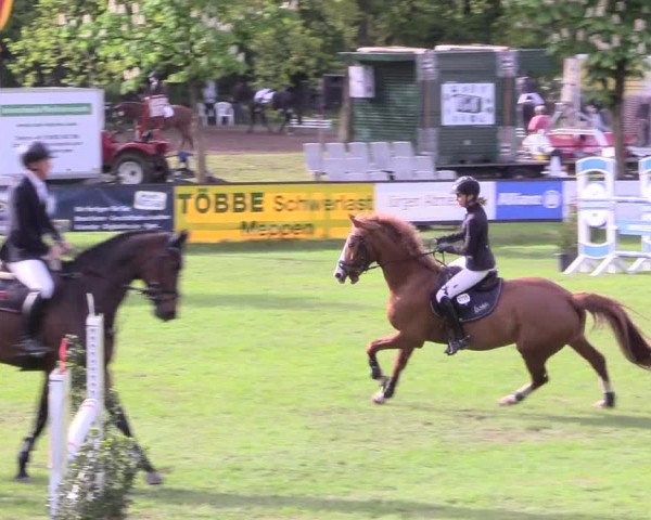 Reitturnier Meppen 2018