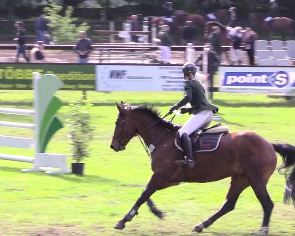 Reitturnier Meppen 2018
