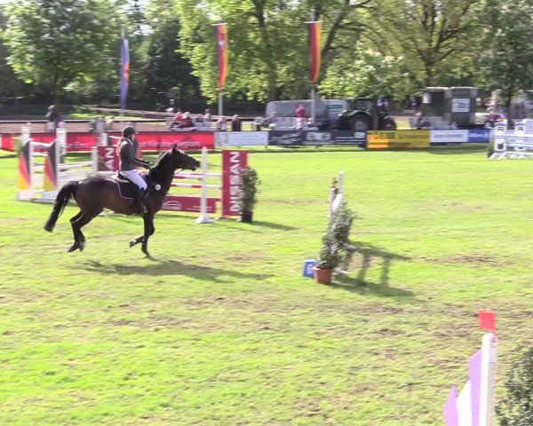 Reitturnier Meppen 2018