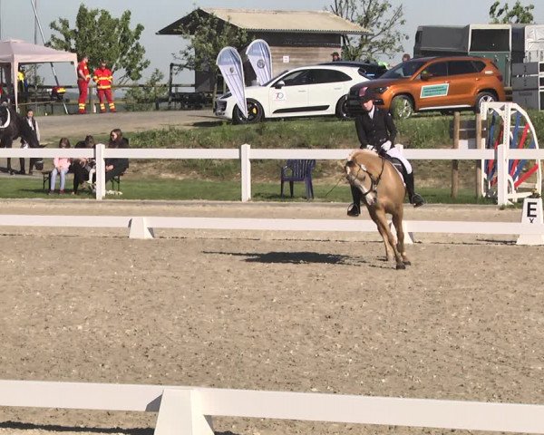 Fürstenwald Dressurtage 2018