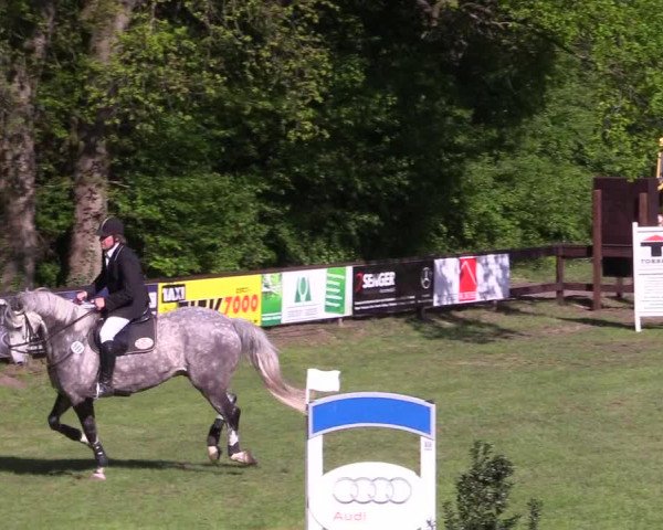 Reitturnier Meppen 2018