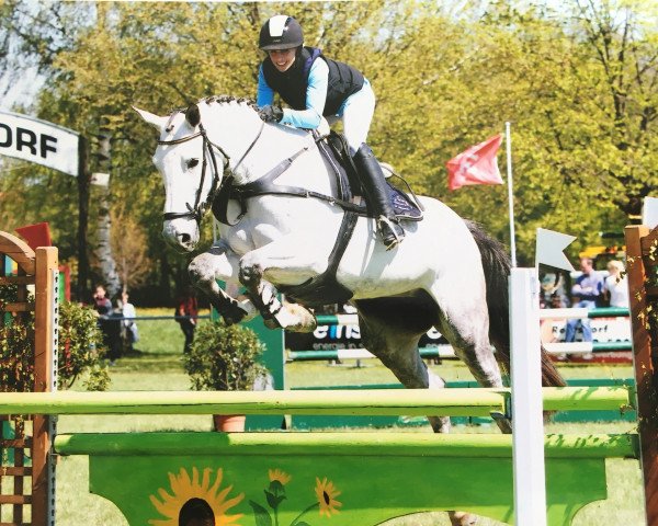 broodmare Tanja IV (Holsteiner, 2003, from Capilano)