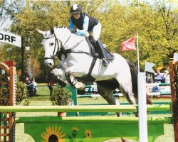 broodmare Tanja IV (Holsteiner, 2003, from Capilano)