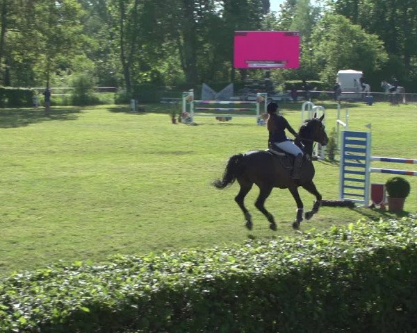 Reitturnier Jülich 2018
