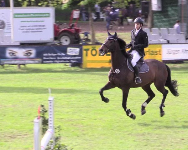 Reitturnier Meppen 2018