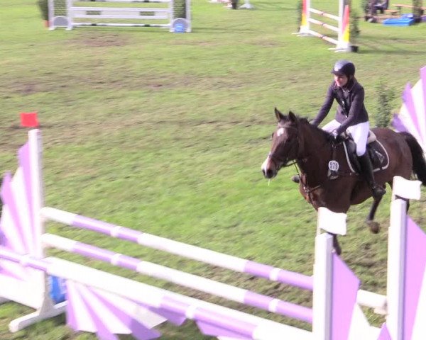 Reitturnier Meppen 2018