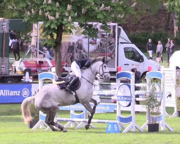 Reitturnier Meppen 2018