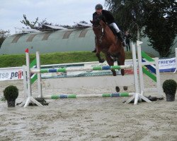 jumper As Di's Ferrari (Hanoverian, 2010, from As di Villagana)