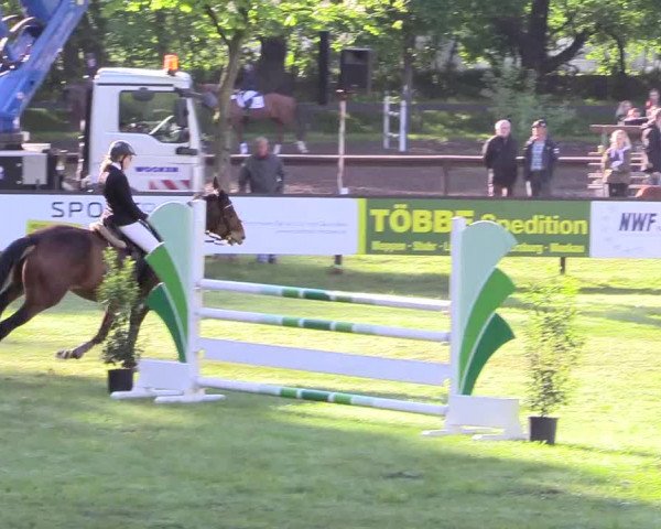 Reitturnier Meppen 2018