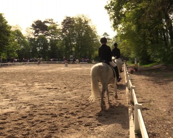 Reitturnier Meppen 2018