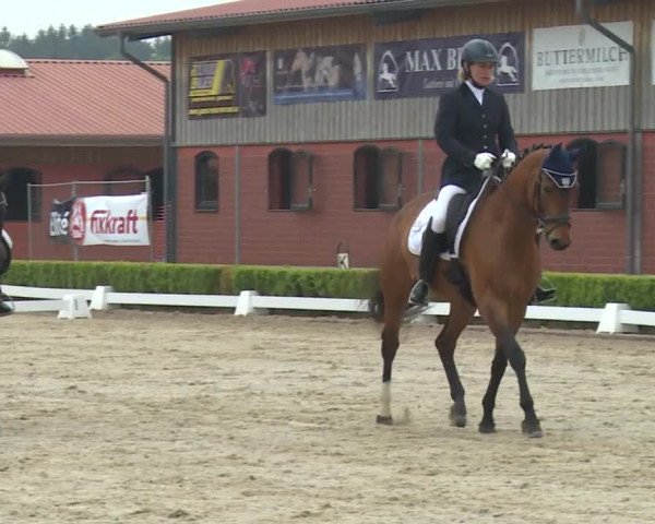 Reitturnier Baldham 2018