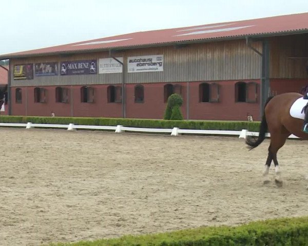 Reitturnier Baldham 2018