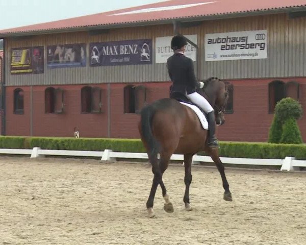 Reitturnier Baldham 2018