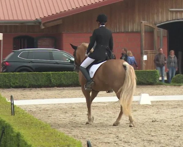 Reitturnier Baldham 2018