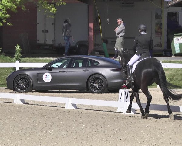 Fürstenwald Dressurtage 2018