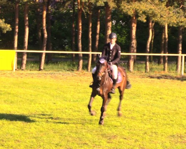 Reitturnier Altbarnim 2018