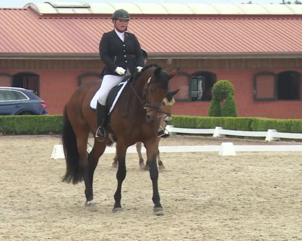 Reitturnier Baldham 2018