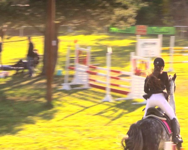 Reitturnier Altbarnim 2018