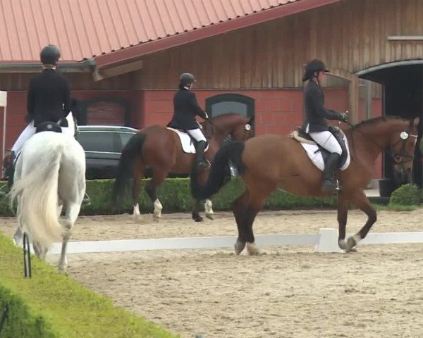 Reitturnier Baldham 2018