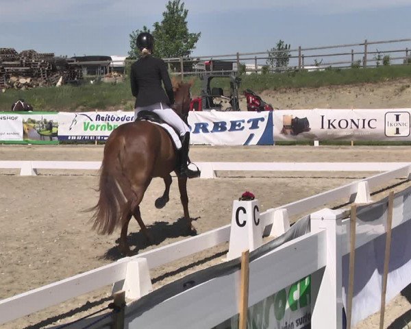 Fürstenwald Dressurtage 2018
