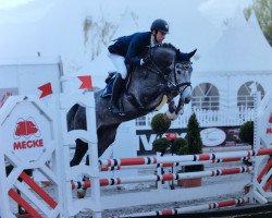 jumper Carassini (Holsteiner, 2013, from Cachas)