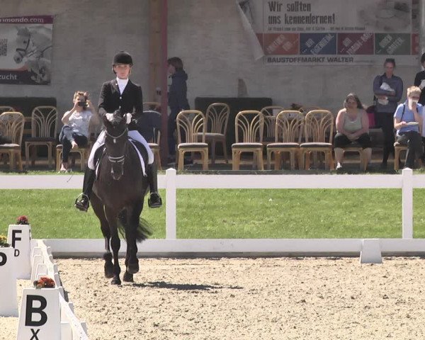 Fürstenwald Dressurtage 2018