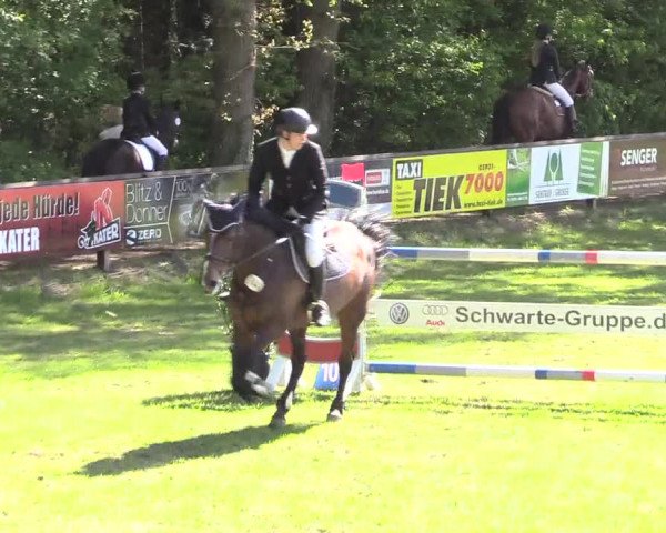 Reitturnier Meppen 2018